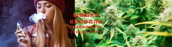 PSILOCYBIN Нефтекумск