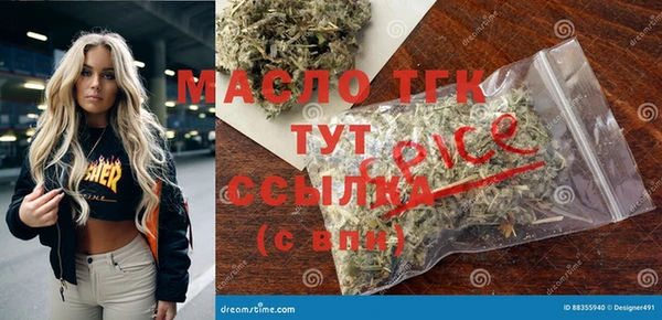 сатива Новозыбков