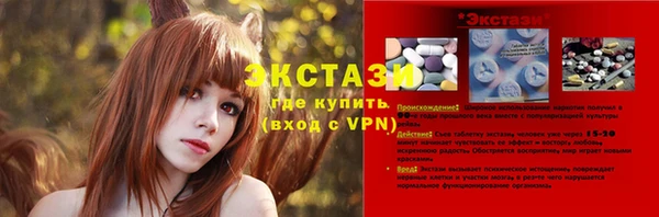 сатива Новозыбков