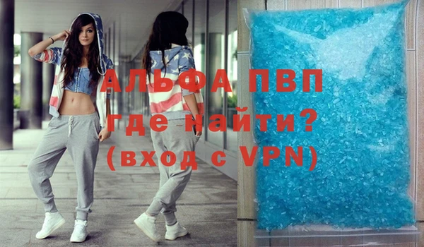 сатива Новозыбков