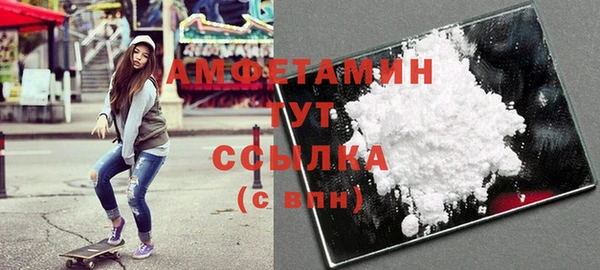 сатива Новозыбков