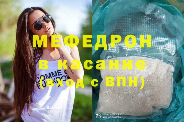 сатива Новозыбков