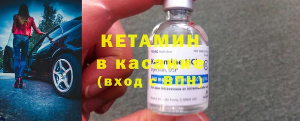 сатива Новозыбков