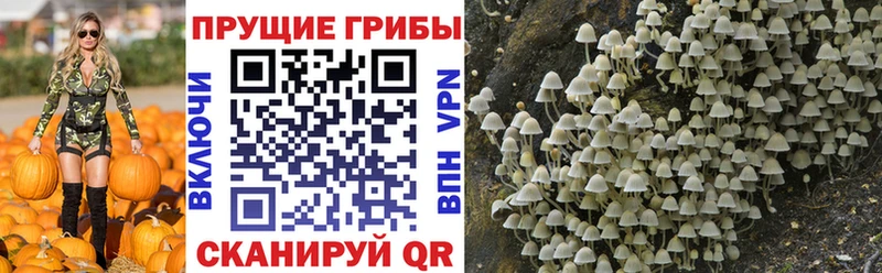 Галлюциногенные грибы GOLDEN TEACHER закладки hydra онион Камбарка