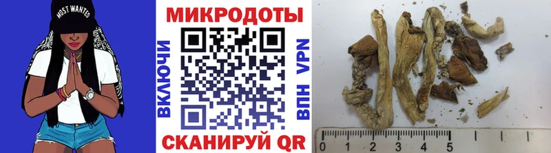 Галлюциногенные грибы MAGIC MUSHROOMS Камбарка